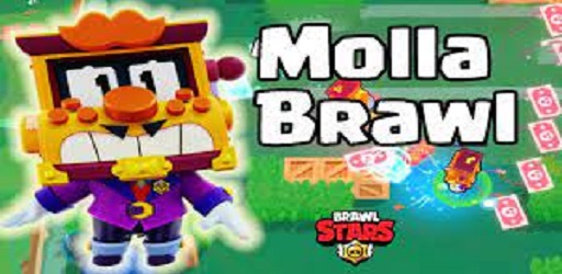 Molla Brawl